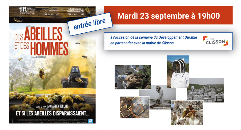actualité Soirée abeilles