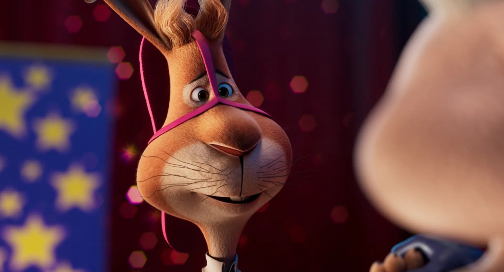 actualité Walter lapin