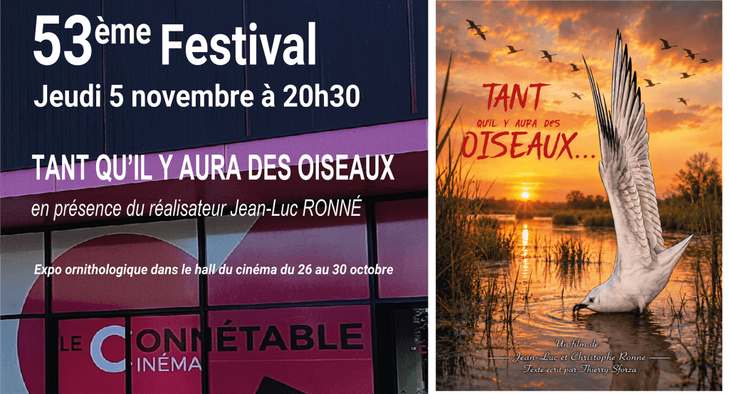 actualité Soirée oiseaux 5 novembre